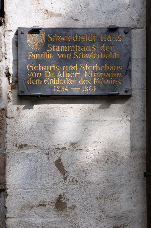 GDA Hotel Schwiecheldthaus Goslar Exterior foto